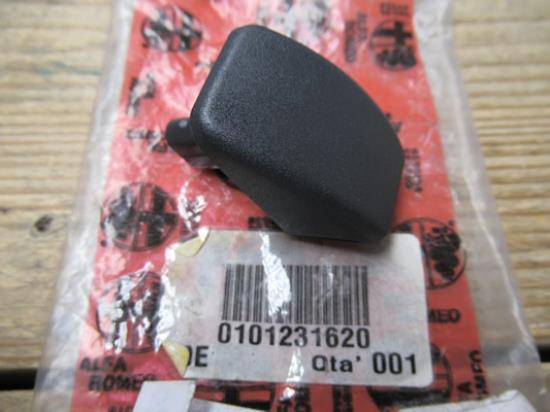 101231620 Greep rugleuning Alfa Romeo 145