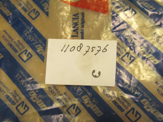 11087576 Borgring remsysteem