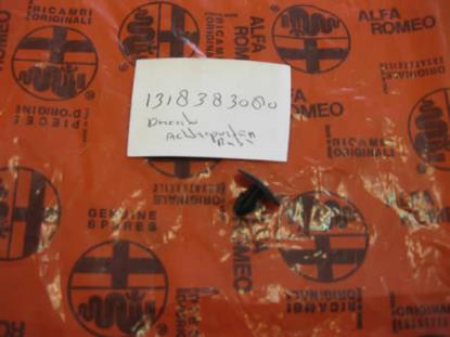 1318383080 Knop bevestiging lijst Fiat Ducato 1994 tot heden