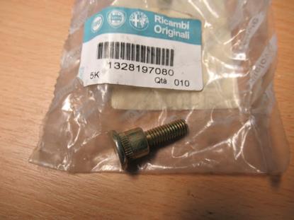 1328197080 Borgpen deurvanger