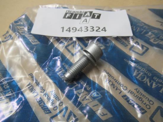 14943324 Bout met ring M8x25mm