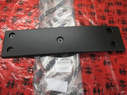 156094917 Kentekenplaathouder voorzijde