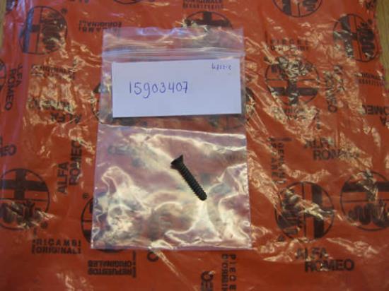 15903407 Schroef achterklep