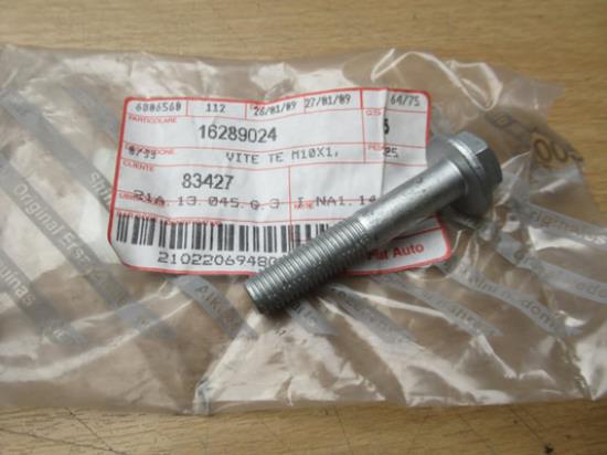 16289024 Bout M10x55