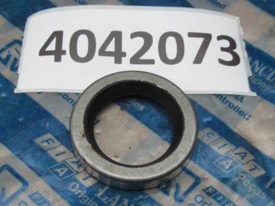 4042073 Keerring achteras