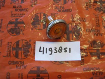 4193851 Knipperlicht Carello