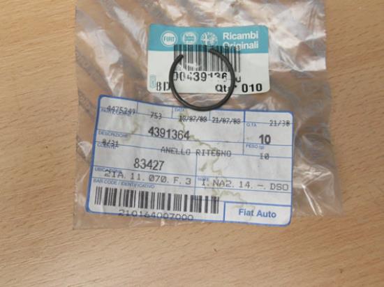 4391364 Borgring differentieel