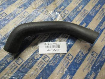 4405596 Slang Fiat Panda