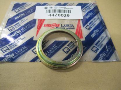 4420029 Borgring keerring Fiat