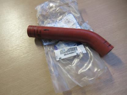 46469677 Carterslang