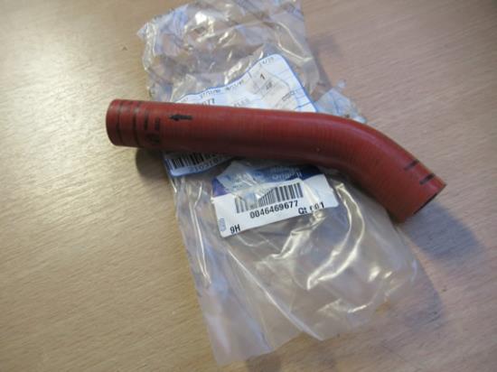 46469677 Carterslang