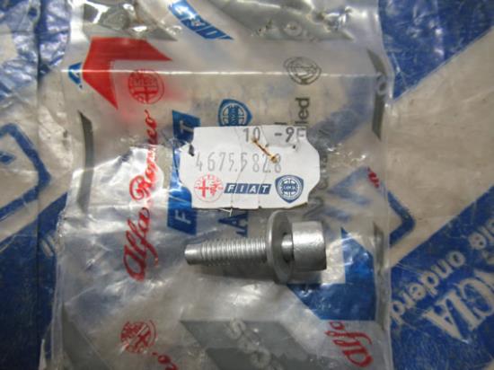 46755828 Bout met ring