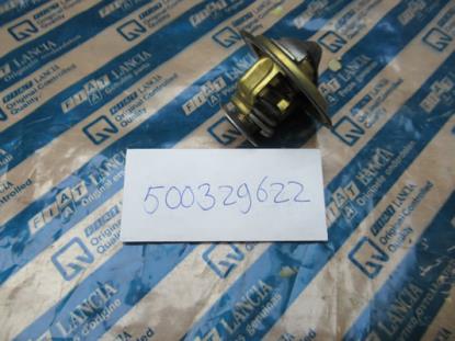 500329622 Thermostaat
