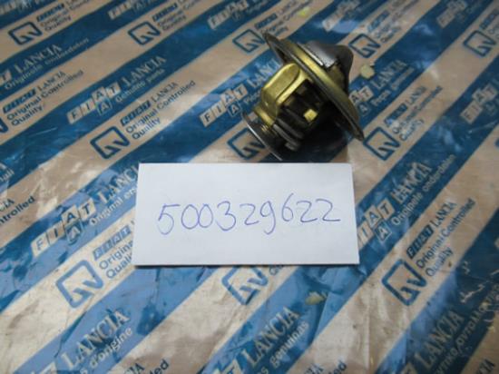 500329622 Thermostaat