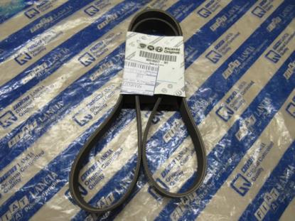 55185077 Multiriem 1183mm 1.3 JTD