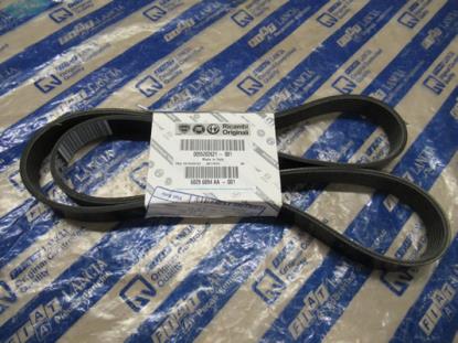 55202621 Multiriem 1320mm 1.3 MJTD