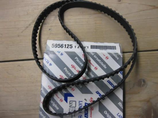 5956125 Distributieriem