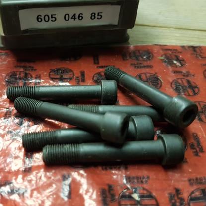 60504685 Homokineet bout