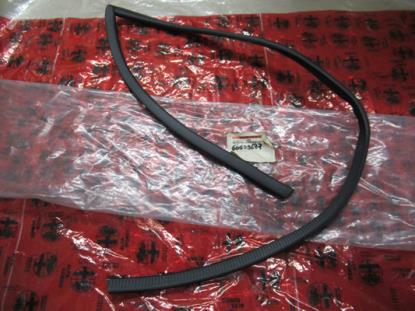 60509687 Deurrubber voorzijde links