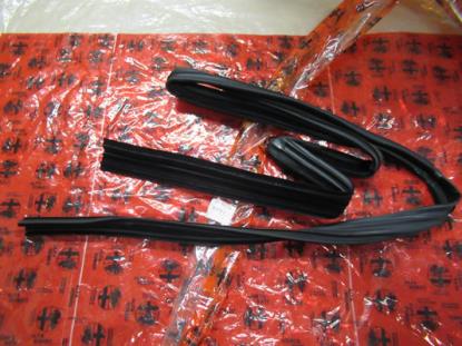 60509754 Rubberprofiel portier voorzijde