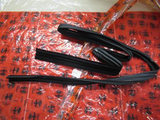 60509754 Rubberprofiel portier voorzijde