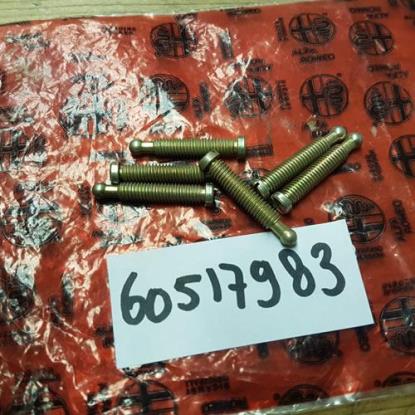 60517983 Stelschroef koplamp hoogte