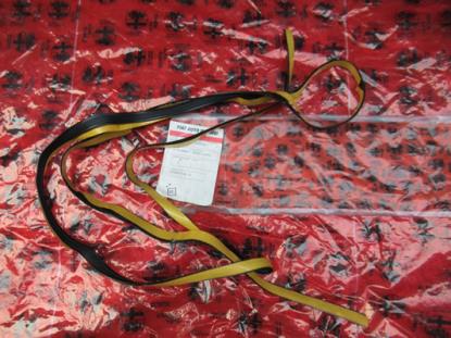 60525889 Voorruit pakking