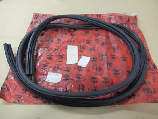 60538901 Profielrubber portier linksachter