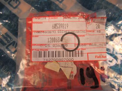 60539819 Borgring distributie