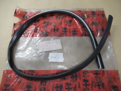 60544068 Voorruit raamrubber