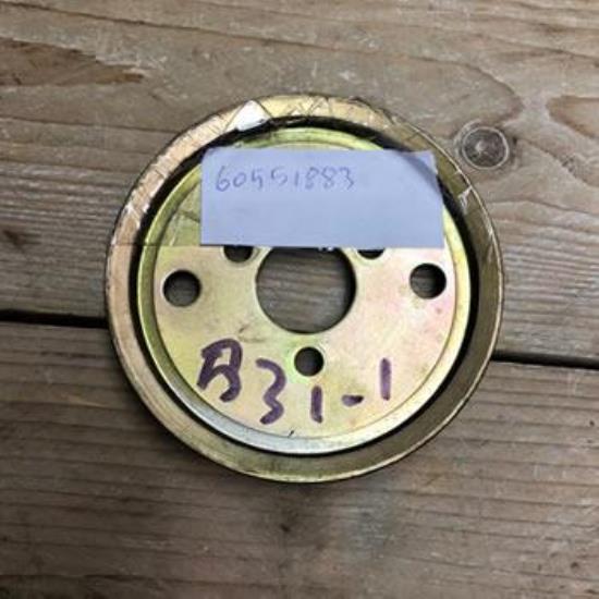 60551883 Poelie waterpomp