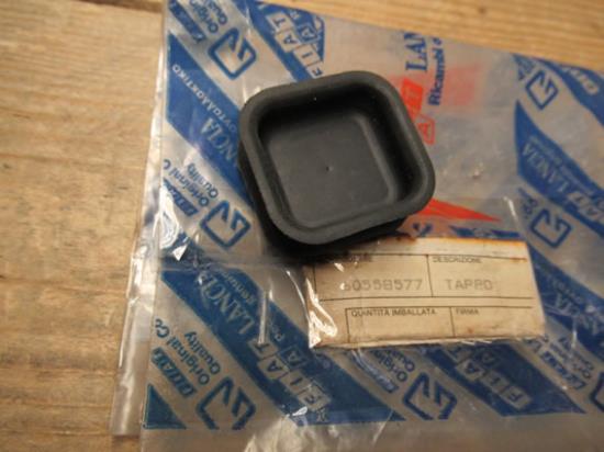 60558577 Plug voordeur