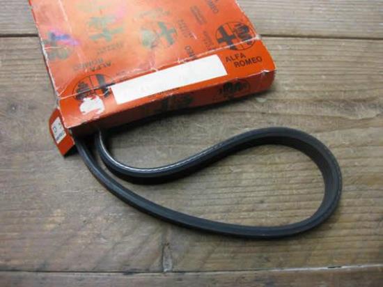 60566089 Multiriem 813mm