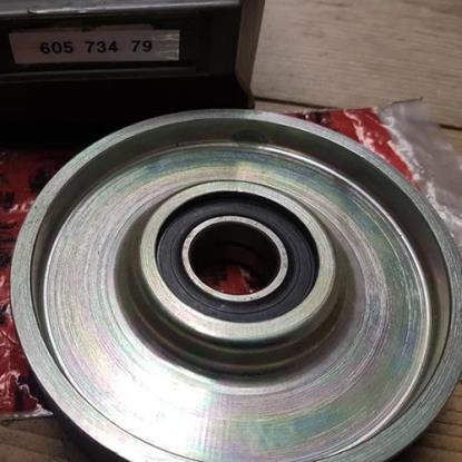 60573479 Poelie multieriem