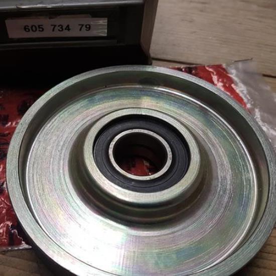 60573479 Poelie multieriem