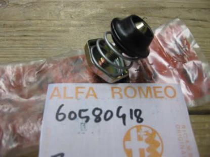 60580418 Slot motorkap