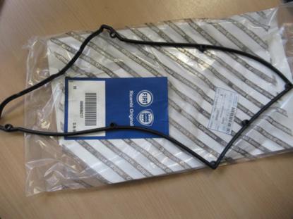 60586217 Kleppendekselpakking