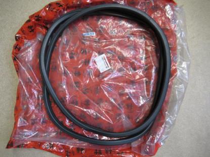 60586978 Profielrubber deurrubber achterzijde rechts Alfa Romeo 164