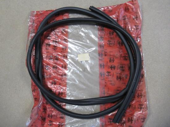 60588959 Deurrubber voorzijde links en rechts