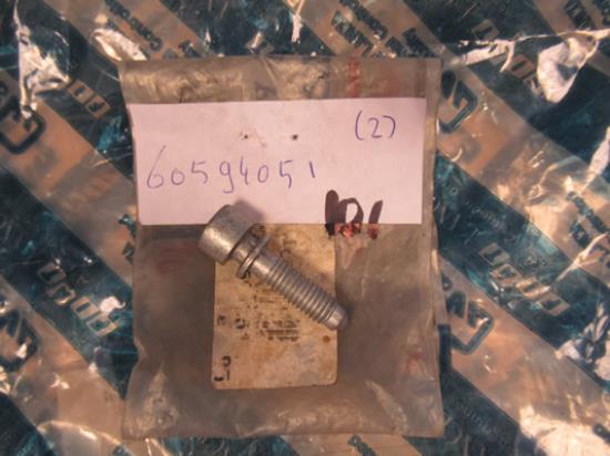 60594051 Bout met ring M8x32