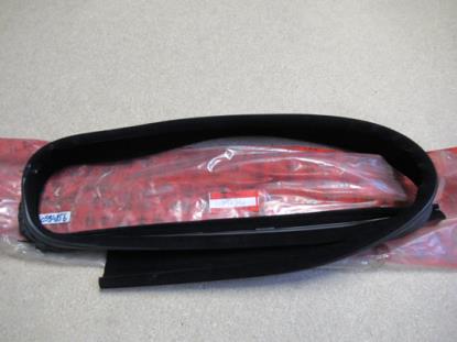 60594856 Raamrubber linksvoor