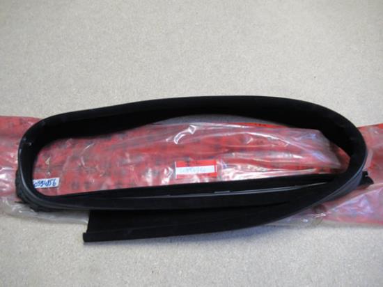 60594856 Raamrubber linksvoor