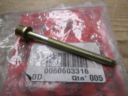 60603316 Bout met ring