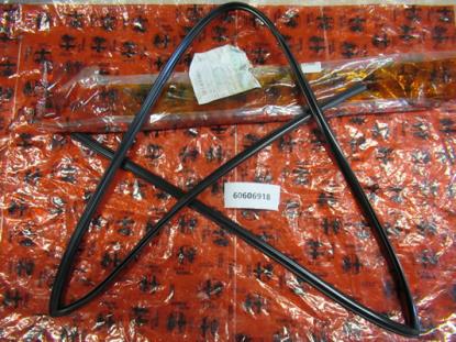 60606918 Voorruit profielrubber