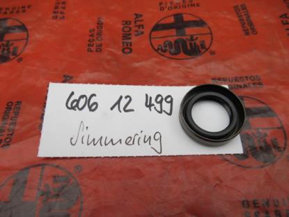 60612499 Keerring versnellingsbak