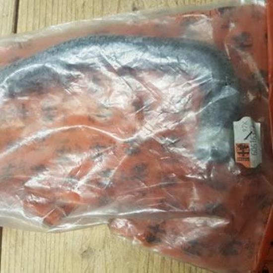 60616393 Koelwaterslang slang hoes vanaf reservoir Alfa Romeo 156 2.4 JTD