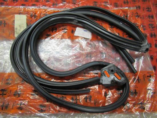 60624859 Profielrubber portier rechtsvoor