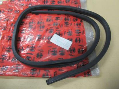 60630052 Deurrubber linksvoor