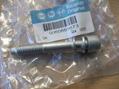 60669673 Bout met ring M8X55mm