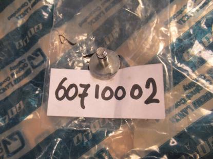 60710002 Knop grille chroom sierdelen Alfa Romeo